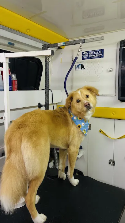 At Your Bark And Call Mobile Pet Salon — photo from their website