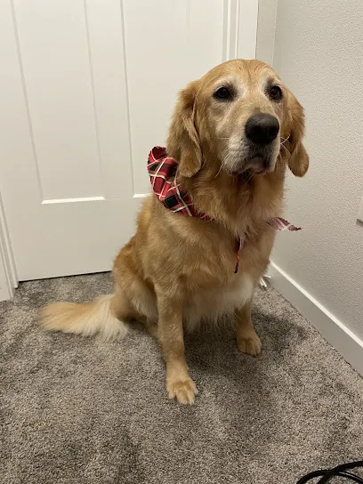 Denise's Doggie Do's LLC — photo from their website
