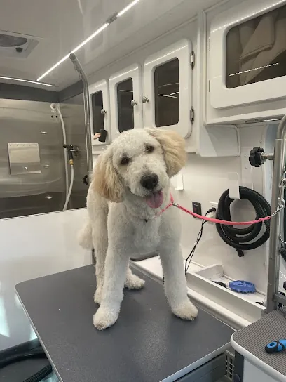 Ninja Paw Mobile Pet Grooming — photo from their website