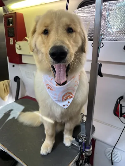 Pet Friends Mobile Dog Grooming — photo from their website