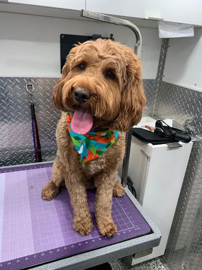 North Miami Mobile Dog Grooming — photo from their website