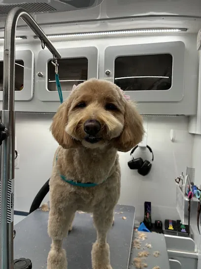 Paws & Rufflect Dog and Cat Grooming (Salon & Mobile) — photo from their website