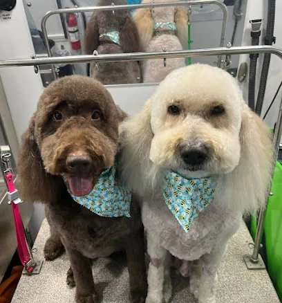 Uptown Hound Mobile Grooming — photo from their website