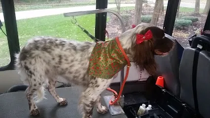 Little Ark Grooming Shoppe Mobile Grooming — photo from their website