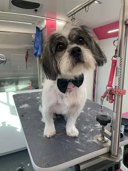 The Furologist Mobile Grooming Salon, LLC — photo from their website