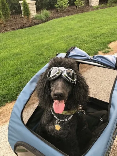 My Bossy Dog Mobile Spa — photo from their website