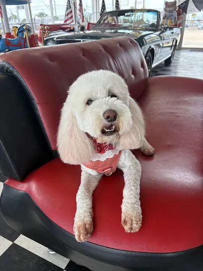 Canine Centerfolds Mobile Dog Grooming — photo from their website