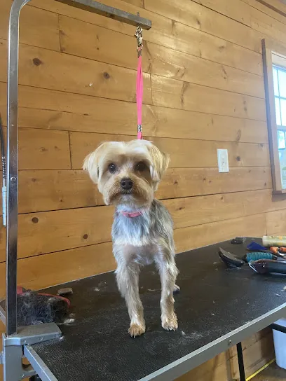 Puppy Love Dog Grooming — photo from their website
