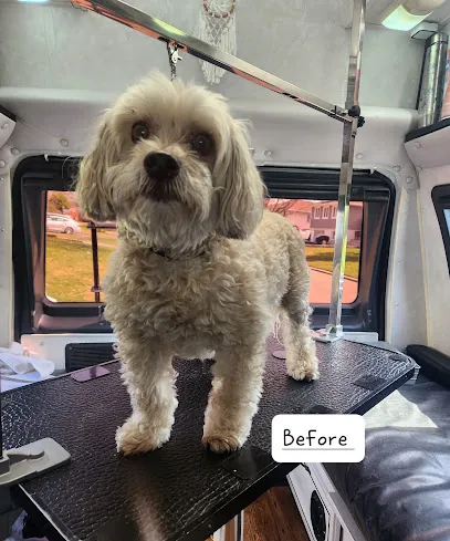 Groom 'n' Go Mobile Pet Spa 🐾🚐✨ — photo from their website