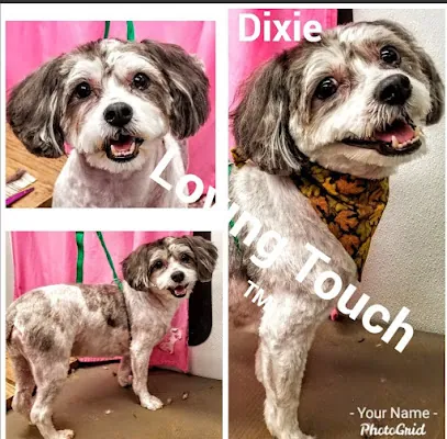 Loving Touch Mobile Dog Grooming — photo from their website
