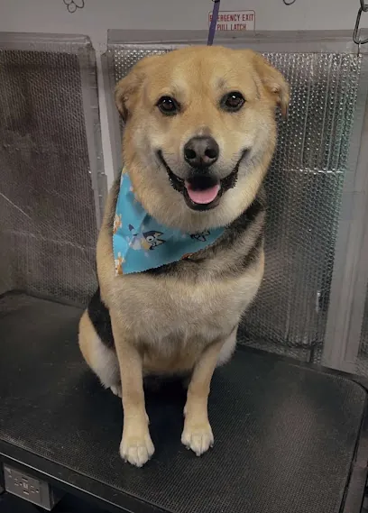 Wag’n Wiggles Mobile Grooming — photo from their website