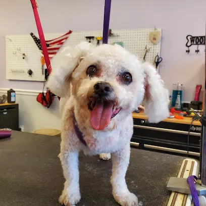 The Mobile Grooming Room — photo from their website