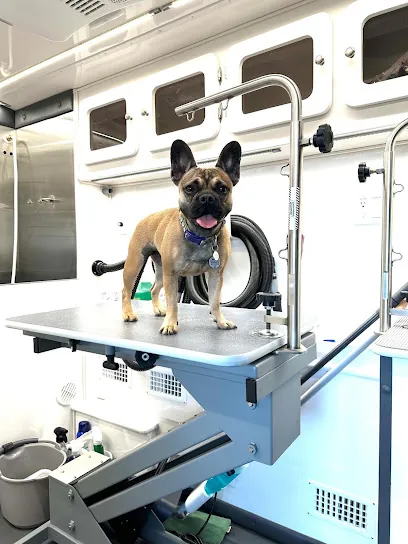 Puppers Mobile Grooming — photo from their website