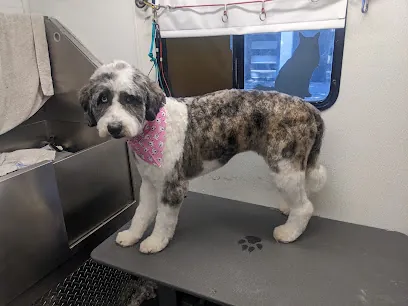 Birdie's Mobile Grooming — photo from their website