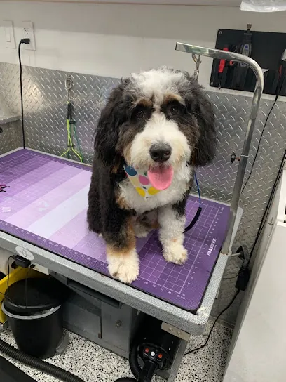 C&M Mobile Pet Grooming of Pembroke Pines — photo from their website