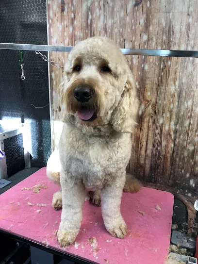 Barking Mad Mobile Grooming LLC — photo from their website