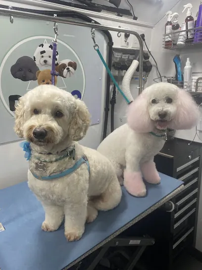 Doggo Mobile Grooming — photo from their website