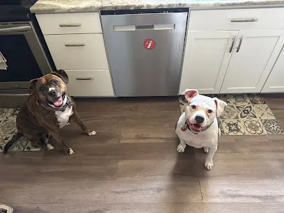 Pet Pedicures — photo from their website