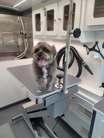 Elegant Dogs mobile spa — photo from their website