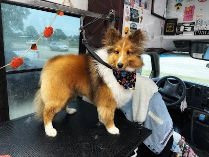 Happy Hounds Mobile Grooming — photo from their website
