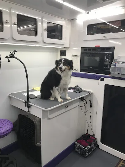 Happy Paws & Wagging Tails (Mobile Pet Grooming) — photo from their website