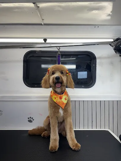 Pretty Dogs Mobile Grooming — photo from their website