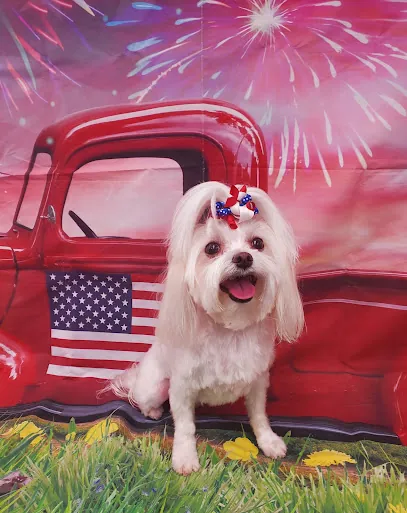 Sparkle Paws Mobile Grooming LLC — photo from their website