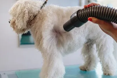 My Mobile Dog Groomer — photo from their website