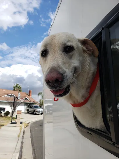 Ladys Grooming LLC. Mobile/ MoVal Dog Grooming — photo from their website