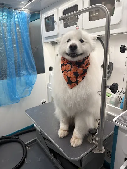 DIRTY DOGS MOBILE GROOMING — photo from their website
