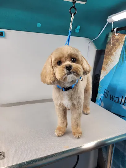Beachcombers Mobile Grooming — photo from their website