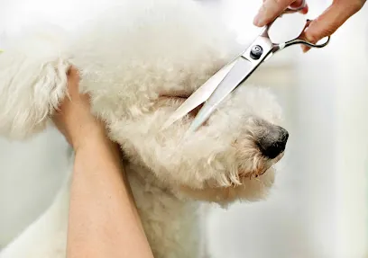 Mobile Pet Grooming Henderson — photo from their website
