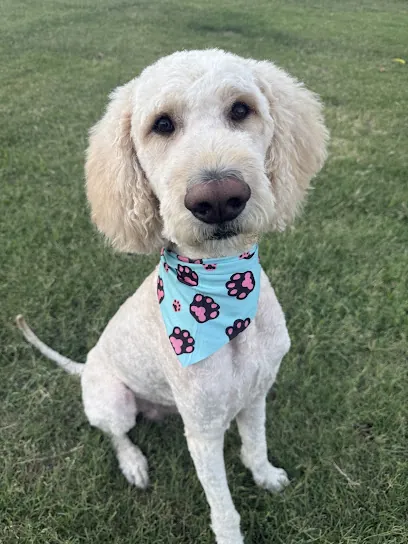 Bark Street Mobile Grooming — photo from their website