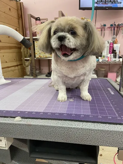 Bark Mobile Dog Grooming — photo from their website