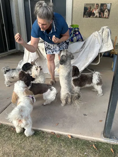 ManiPaw Mobile Doggy Spa — photo from their website