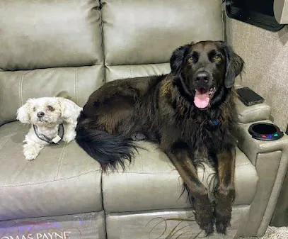 Ultra Pet Mobile Grooming Inc — photo from their website