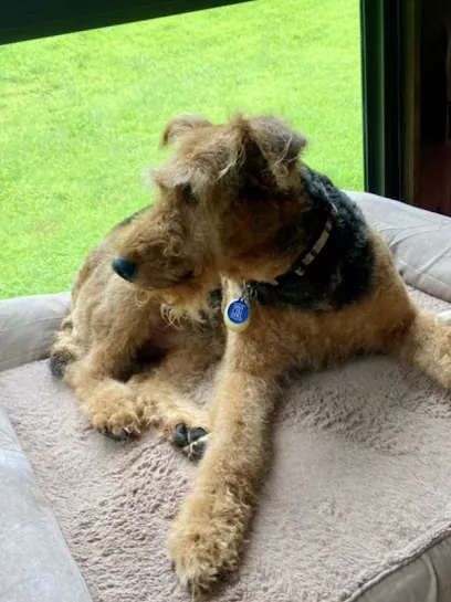 Zs mobile pet grooming — photo from their website