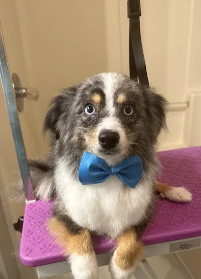 Leah's Mobile In Home Dog Grooming LLC — photo from their website