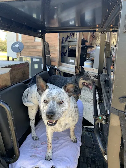 Lynn Matthews Mobile Dog Grooming — photo from their website