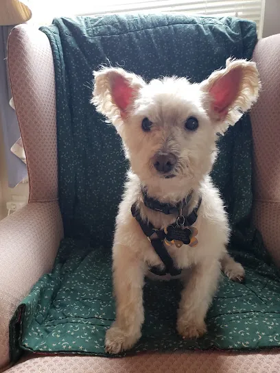 Terry's Doggie Mobile — photo from their website