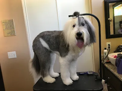 Ashley's House-Call Dog Grooming — photo from their website