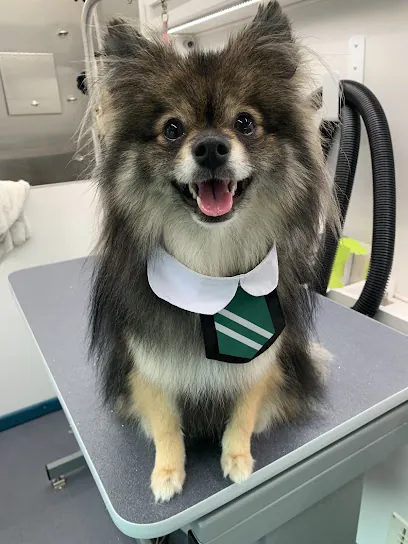 Melissa the Groomer Mobile Pet Salon — photo from their website