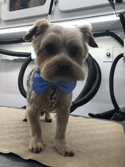 All Fur Love Mobile Dog Grooming, LLC — business logo from Google