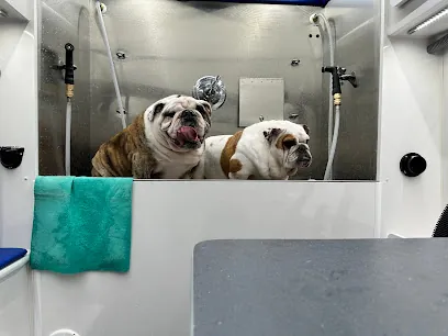 Bone Jour Mobile grooming — photo from their website