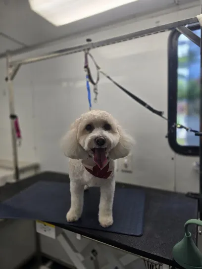 Boop a Snoot Mobile Pet Grooming — photo from their website