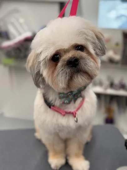 DapperTails Mobile Pet Grooming of Northern Utah — photo from their website