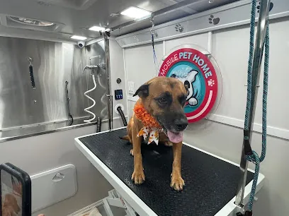 Mobile Pet Home — photo from their website