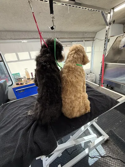 Maddysun’s Mobile Grooming — photo from their website