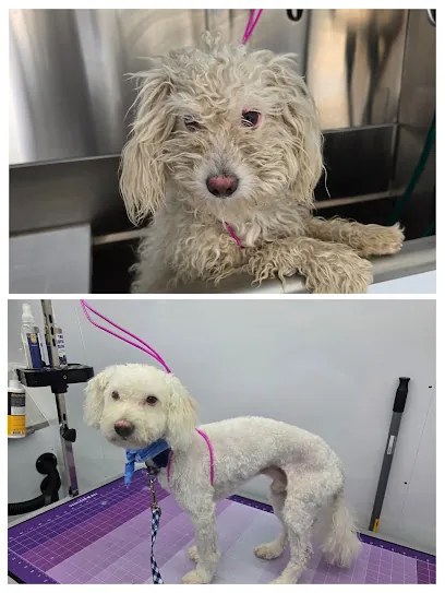 Becca's Mobile Grooming — photo from their website