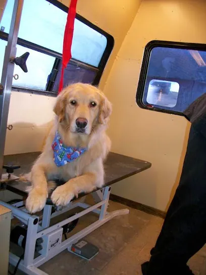 Paws & Relax Mobile Grooming — photo from their website